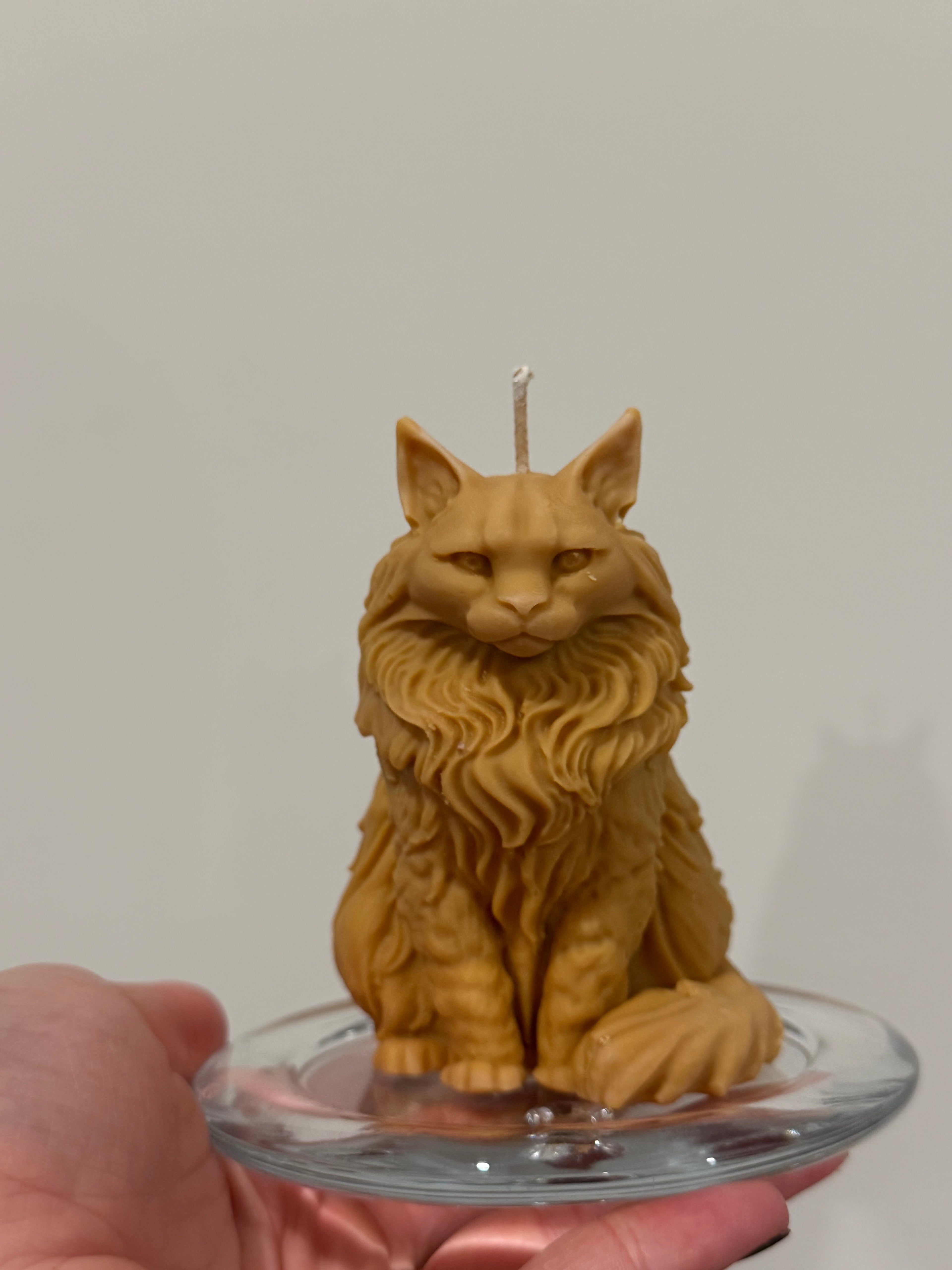 Maine Coon Pillar Candle